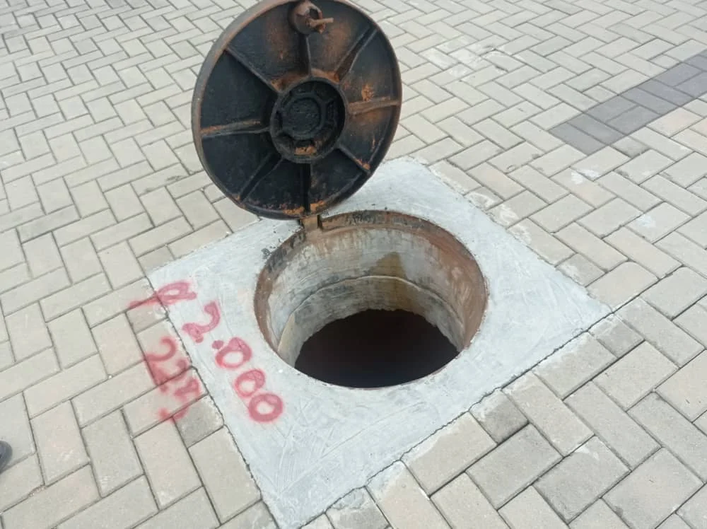 UMAP Activity - umap (33)